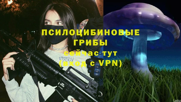 МДПВ Верхнеуральск