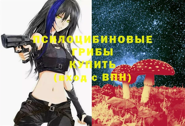 jwh Верея